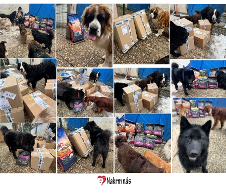 Berňáci v nouzi z.s. 2